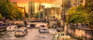 Leseclub. Haifische in der Spree