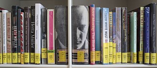 Shelf with translated books