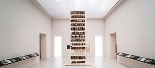 Die Installation „Rose Vallant Institute“ zeigte auf der documenta 14 unrechtmäßig beschlagnahmte Bücher aus vormals jüdischem Besitz.