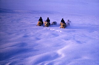 Caribou hunt by snowmobile.