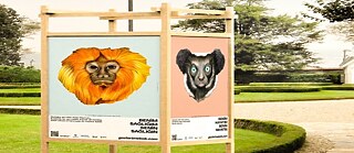 DIE VOM AUSSTERBEN BEDROHTEN TIERE WENDEN SICH AN UNS MENSCHEN: MEINE ZUKUNFT IST AUCH DEINE ZUKUNFT!