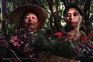 “Brujas verdes Otomíes,” San Francisco Xochicuautla, Lerma, Mexico, 2020