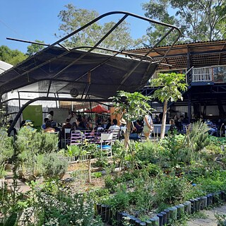 Huerto Roma Verde &copy; © Goethe-Institut Huerto Roma Verde