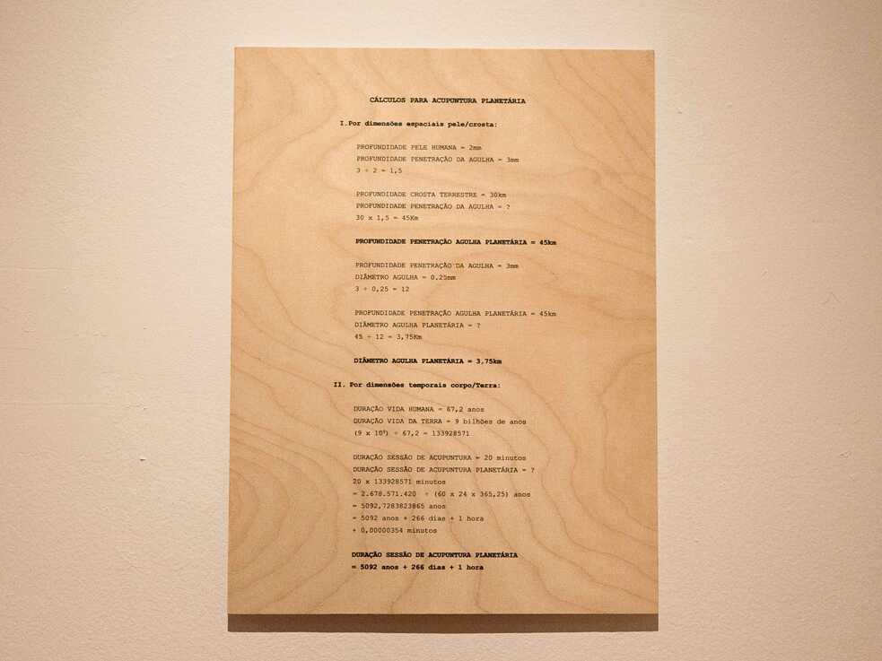 The artwork “Cálculos para Acupuntura Planetária” 
