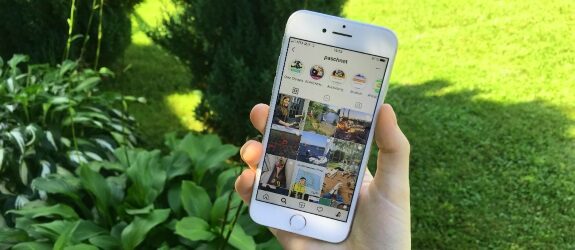 Deutsch auf der Datscha