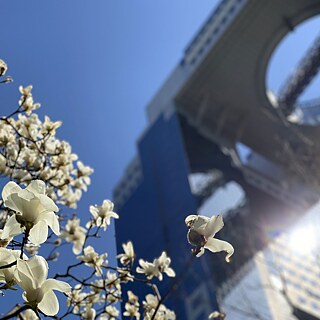 Osaka-Kyoto Homepage