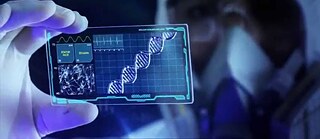 The telephone, computer, car, mp3 and gummi bears are just some of the many popular German inventions.