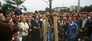 Während der 8. „documenta“-Ausstellung in Kassel 1987 wurde der letzte von 7.000 Bäumen gepflanzt, die zu Beuys’ Werk „Stadtverwaldung“ zählen. Mit der Aktion hat der Künstler das Kasseler Stadtbild bis heute geprägt und vor allem: begrünt. 