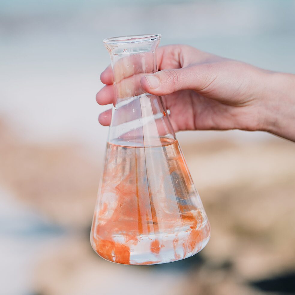 Algaeing von Renana Krebs