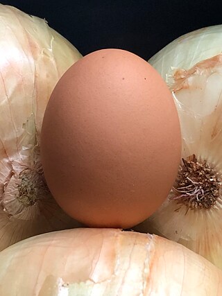 Fünf Sätze Kunst: Eier 