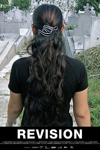 Revisão