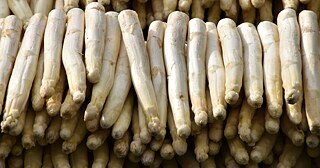Spargel: Food Science