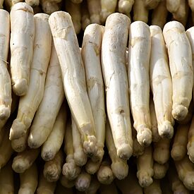 Spargel