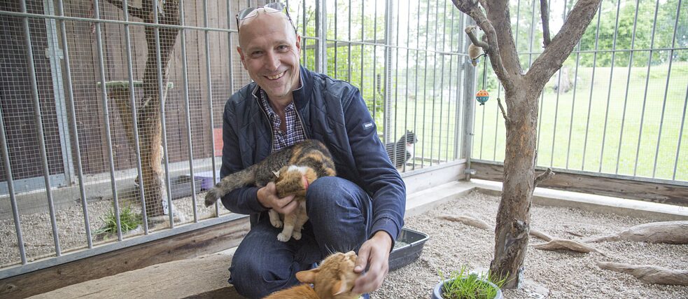 Mirko Höhnisch spielt mit zwei Katzen in einem Gehege in seinem Tierheim.