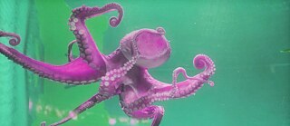 Still-Aufnahme aus der Videoarbeit Divine Memory (2019) von Monira Al Qadiri. Die Arbeit wird in der Kunsthalle Helsinki zu sehen sein.