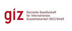 Das Logo des giz