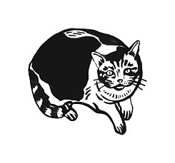 Logo Pitzilein Books