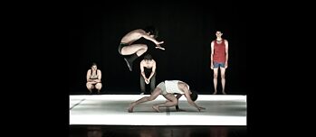 a male ant has straight antennae © Soumita Bhattacharya