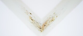 Restos de Fettecke de Beuys, obra que fue limpiada pocos meses después de la muerte del artista.