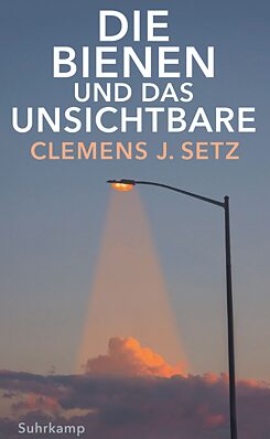 Die Bienen und das Unsichtbare