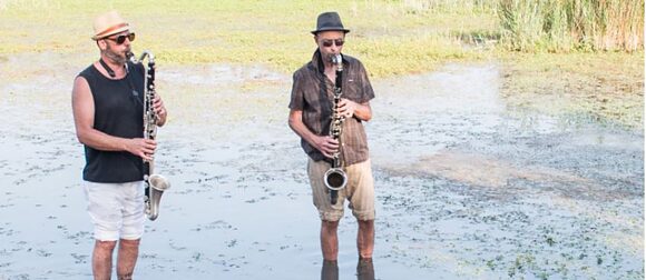 Saxicola Rubi : Jazz ornithologique