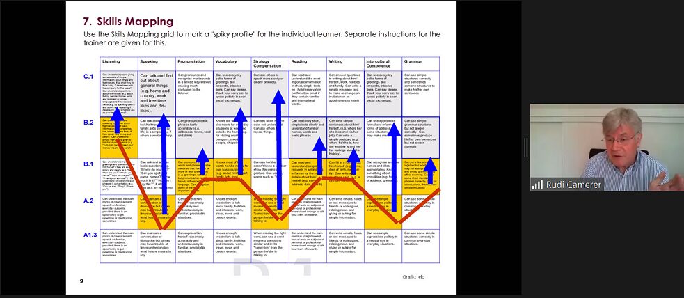 Begleitband: Gemeinsamer europäischer Referenzrahmen für Sprachen: lernen, lehren, beurteilen | Skills