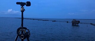 Aziz Hazara and Rupaneethan Pakkiyarajah in Jaffna