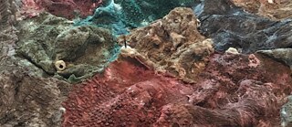 Detail of Rupaneethan Pakkiyarajah's project for Colomboscope 2021.