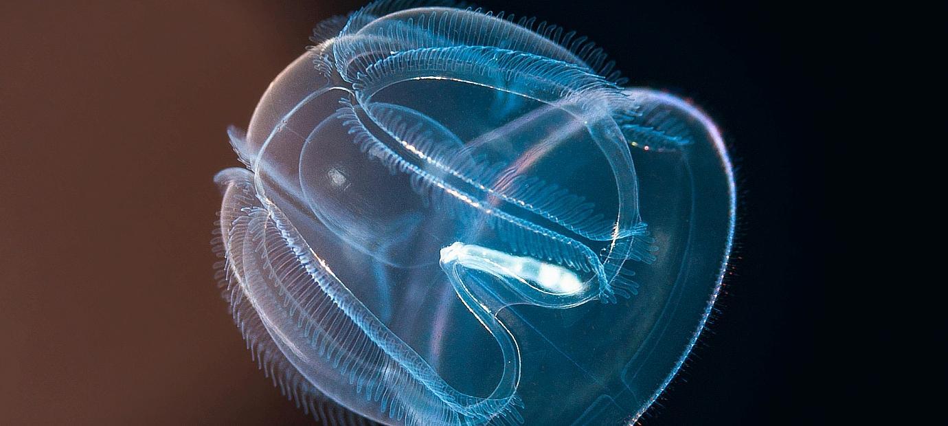 Teri kabi leggingslarda jinsiy aloqa