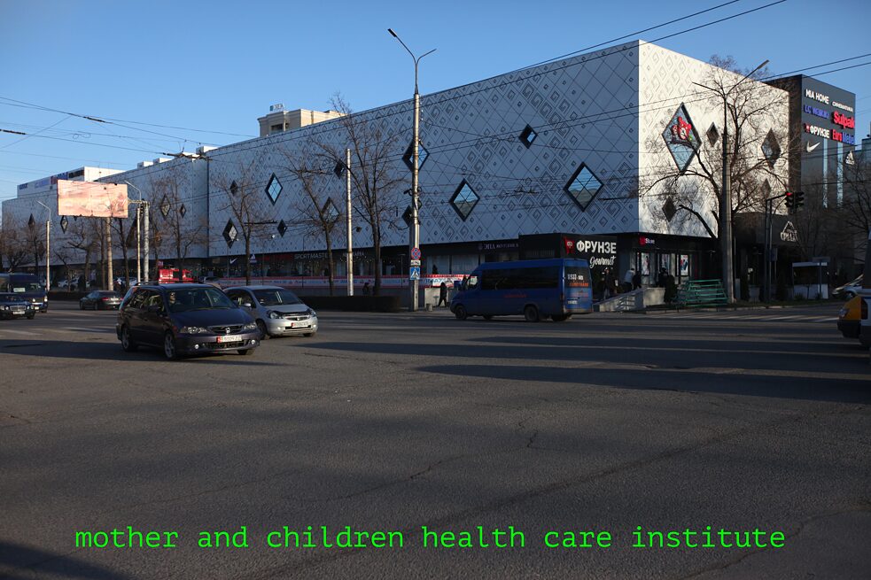 Mother and Children Health Care Institute