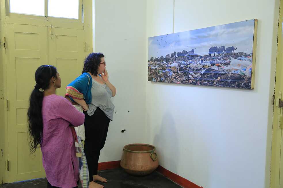 Exhibition Opening Oluvil Pallakkadu Elephants - Tharmapalan Tilaxan
