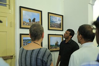 Ausstellungseröffnung Oluvil Pallakkadu Elephants - Tharmapalan Tilaxan