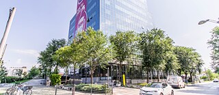 Blick auf das Goethe Institut in Zagreb. Ein Hochhaus mit vielen Bäumen vor dem Eingang.