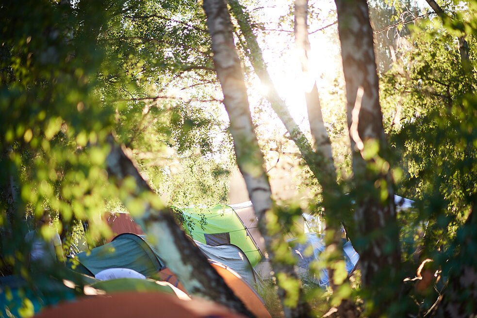 Camping dans le forêt