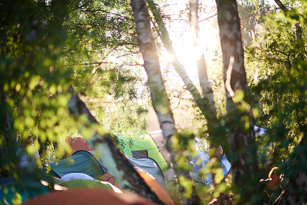 Camping in the forest