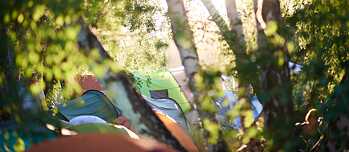 Camping in the woods