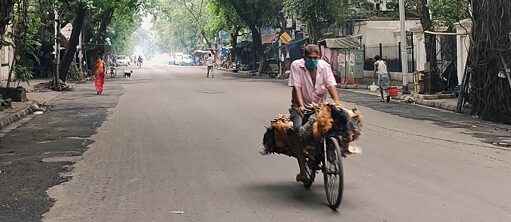 Susanne Sachsse event