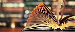 Fomento a la traducción