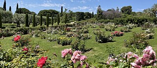 Rosengarten