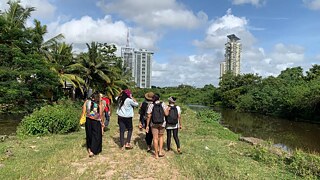 Day 2 started off with a scenic boat ride on a canal that snakes across Colombo, followed by a walk through the wetlands - that feels almost celestial and timeless upon reflections. 