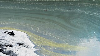 À beira de um lago de carvão e enxofre, sentada sobre a montanha de rejeito, o mesmo que não se pode tocar, uma libélula parou em frente à lente de minha câmera. Um gesto de resiliência? Um sopro de vida? Potência de agir... Coexistir! Lampejos de futuros possíveis!