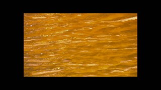 A cor laranja, gerada pela ação de oxidação das piritas em contato com as águas superficiais, tornou-se paisagem incorporada ao imaginário de toda uma população que nunca conheceu seus rios de outra cor. Até a década de 1940, as águas dos rios desta região eram claras, os rios profundos. No rio Urussanga, as crianças se banhavam no verão, meninas de um lado e meninos do outro, nos contou Sr. Armando Betiol, antigo morador da cidade. Em 1942, com a primeira lavagem do minério, as águas foram tornando-se laranja, e os peixes sufocados debatiam-se até a morte.  