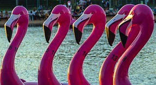 Markus Söder wanted a beach and he got a beach – and a whole fleet of flamingo pedal boats in the bargain.