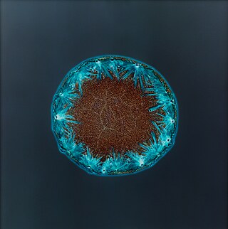 Sarah Schönfeld, All You Can Feel/ Planets, Ketamine, 2013, ketamine on photo negative, enlarged as C-Print, 70 x 70 cm