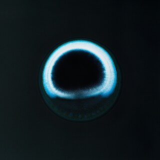 Sarah Schönfeld, All You Can Feel/ Planets, Valium, 2013, valium on photo negative, enlarged as C-Print, 70 x 70 cm 