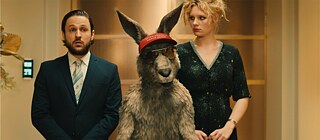 The Kangaroo Chronicles