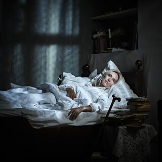   &copy; © Thomas Aurin Lenin