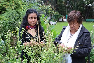 A group of volunteers cares for the educational and community garden in Bogotá. The focal point is on creating and maintaining a corridor for different types of plants and animals displaced by the ongoing urban expansion into their habitats. Additionally “Jardin82” serves as an open discussion space where people meet to talk about garden initiatives, biodiversity and ecological feminism, along with other aesthetic practices.