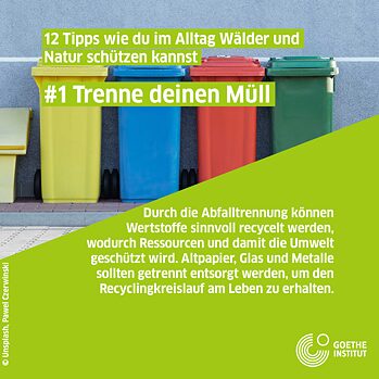 Infopost Mülltrennung, bunte Mülltonnen