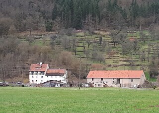 En el valle del Tauber está la granja de muestra más grande de Jonas Gampe y su equipo.